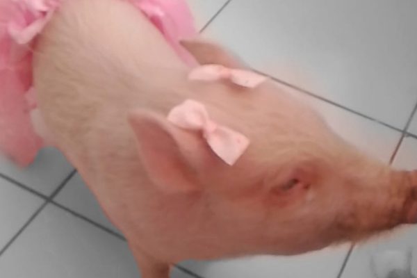 befunky_2026-3-2_6-23-31