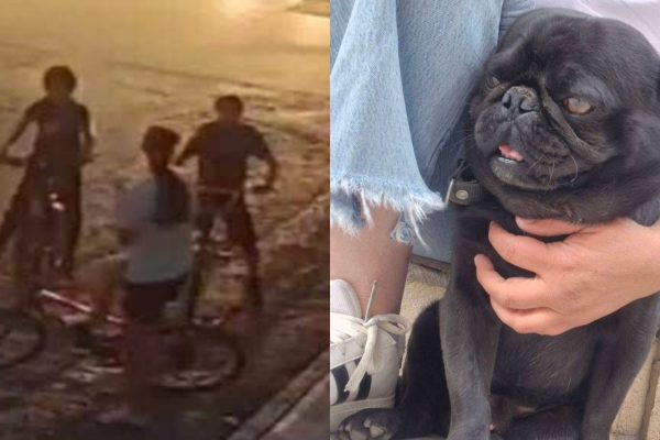 befunky_2026-3-5_12-55-30