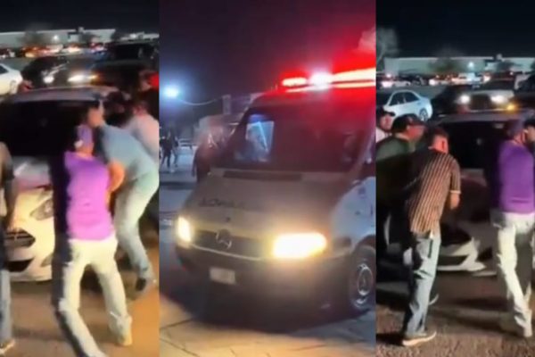 befunky_2026-3-6_13-20-42