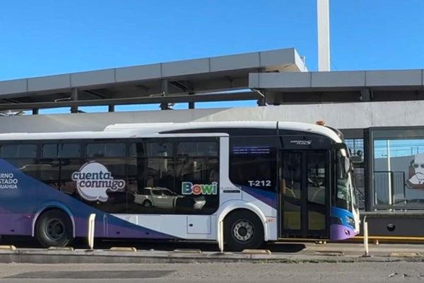 bowi-juarezbus-082624
