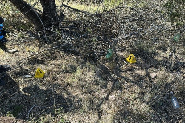 c337d566-88cf-4166-ae86-624278256617