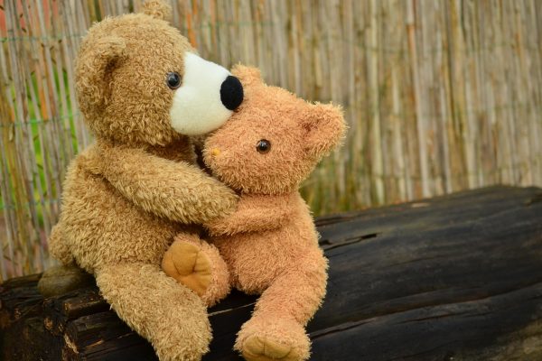 congerdesign-teddy-1113160_1920