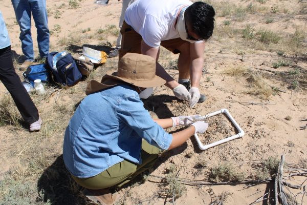 d6bba687-6694-4c36-a05f-d5c883a91396