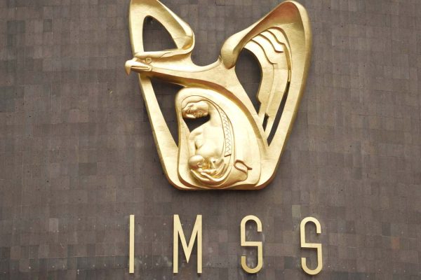 dado-alta-imss-1172024