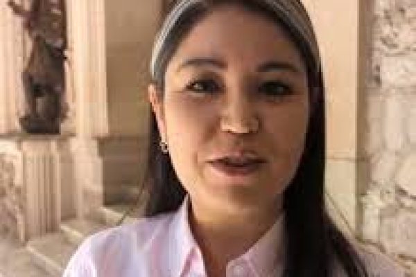 descarga (2)