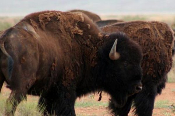 ea6a7596-e7d8-46d1-8f72-91c0a2531992