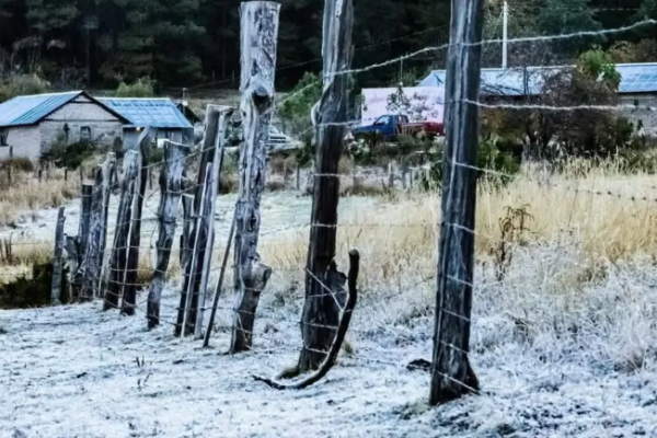 imagen_2026-03-08_192749056