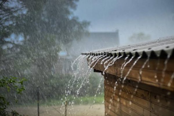 images - 2026-07-12T115128.861