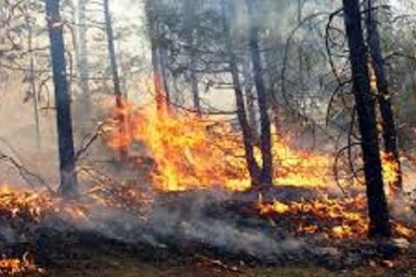 incendiosanjuanito (1)