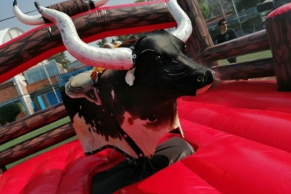 p-64804-toro-mecanico-para-ambientar-tu-fiesta_15837724884464