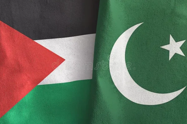 pakistán-y-palestina-dos-banderas-trapo-textil-d-representación-dobladas-juntas-representando-205596148