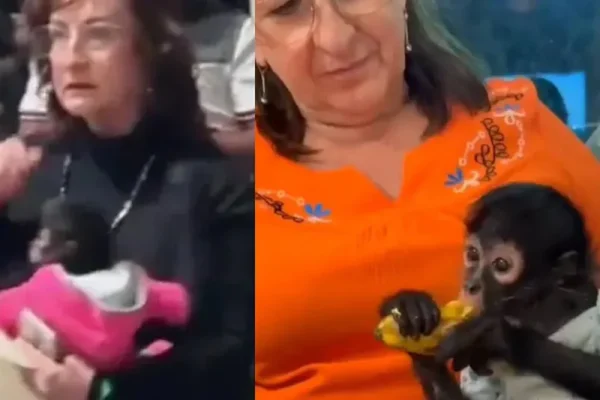 silvia-villarruel-separa-cargo-denuncia