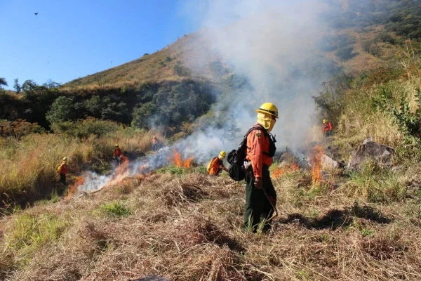 van-40-incendios-forestales-en-chihuahua-en-2026-uno-sigue-activo-en-basaseachi_9ce3cee2-576e-4e3c-a900-179678e0de27_medialjnimgndimage=fullsize