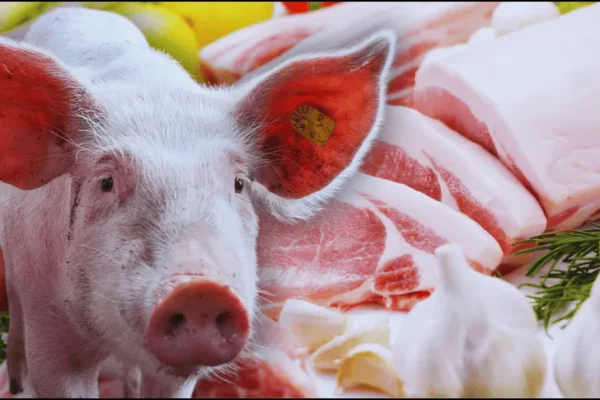 web_canva-9-_version1772650300391.png_1389647151